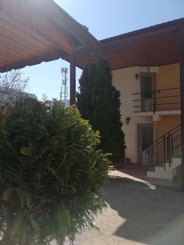 Проживание в семье Amaka Костинешти-3