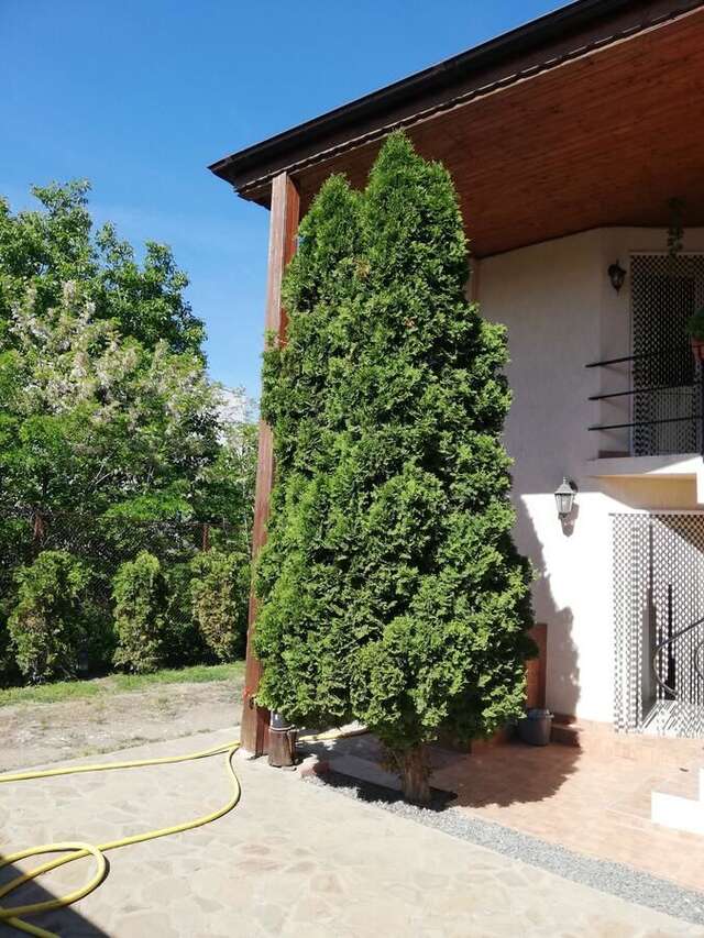 Проживание в семье Amaka Костинешти-30